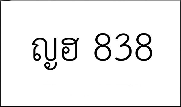 ญฮ 838
